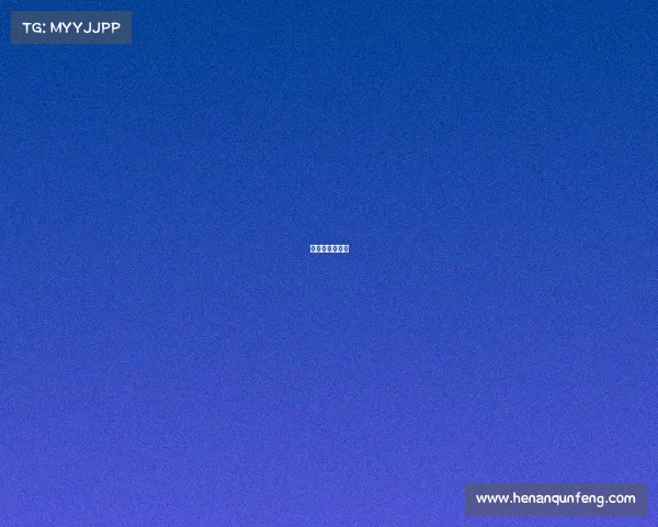 莱斯特城队阵容